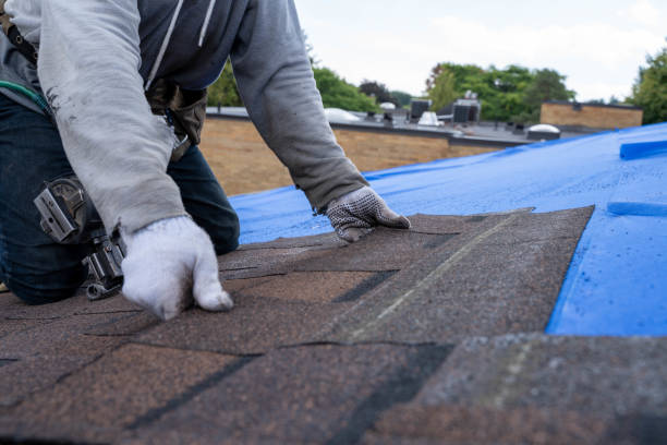 Roof Gutter Cleaning in Rosemont, PA